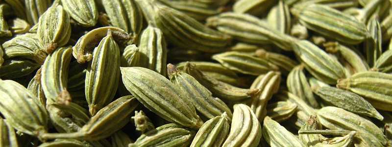 सौंफ खाने के फायदे