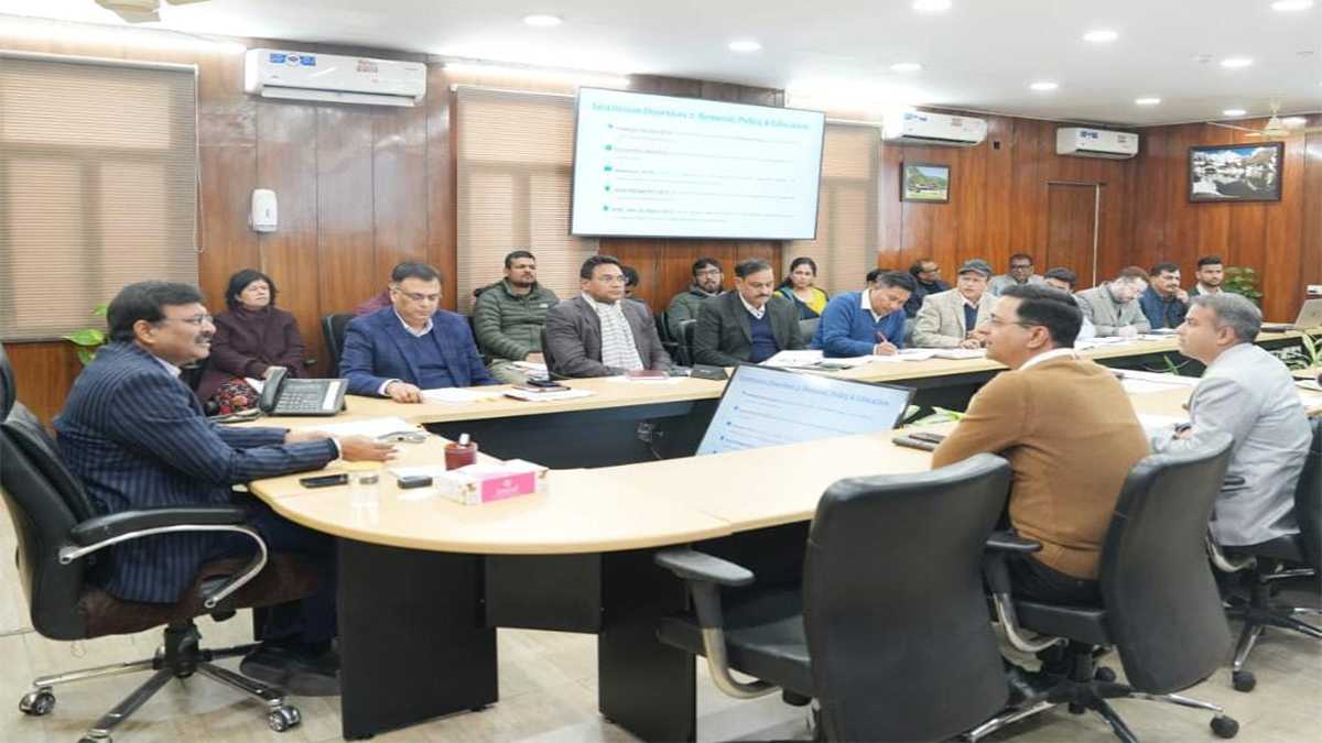 आवारा पशु कार्रवाई