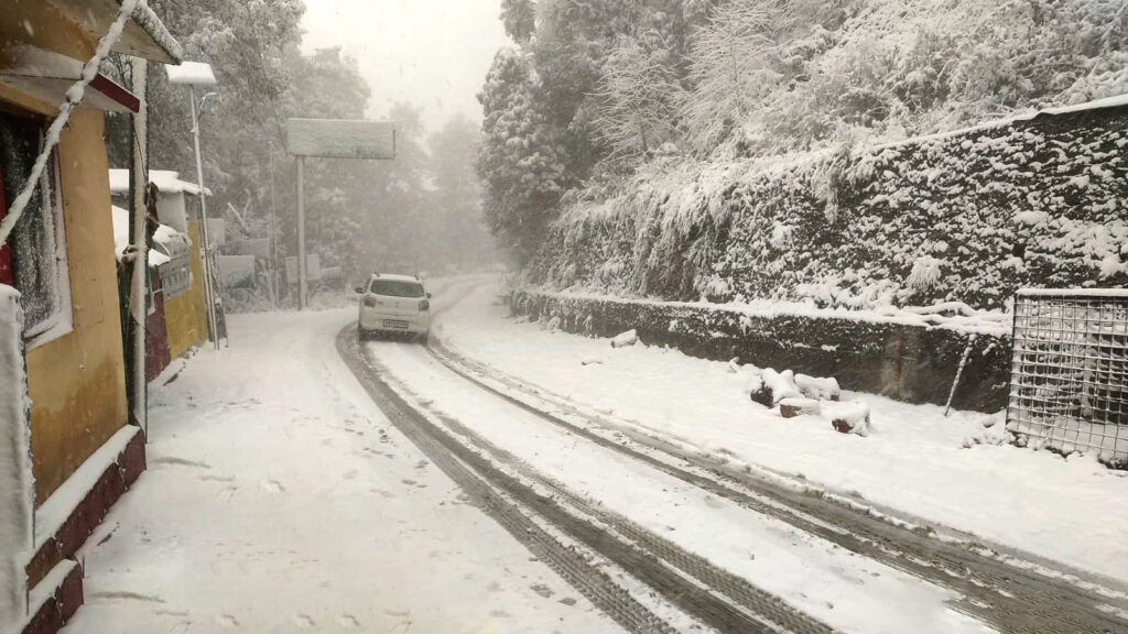 WhatsApp Image 2026 01 23 at 16.41.40 1