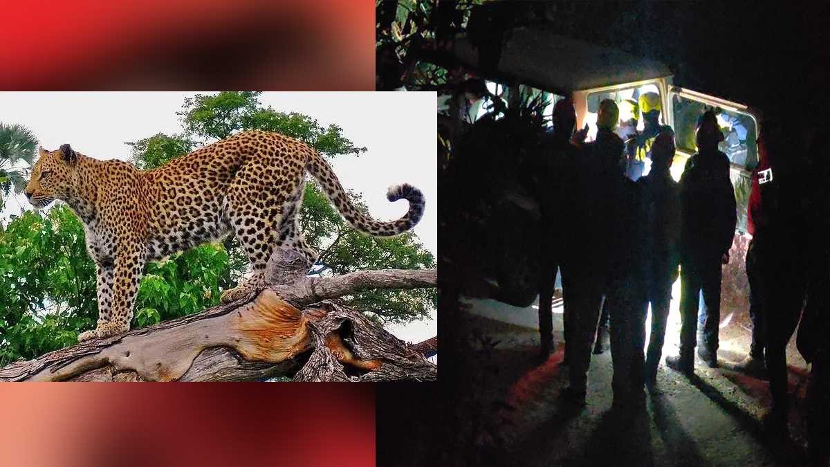 रुद्रप्रयाग गुलदार हमला