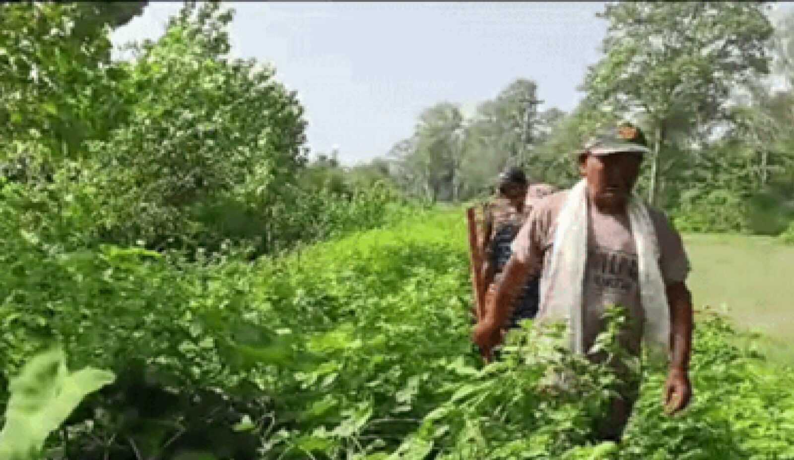 Uttarakhand Holi News In Hindi: होली के उल्लास के बीच उत्तराखंड के घने जंगलों और वन्यजीवों की सुरक्षा को लेकर वन विभाग पूरी तरह सतर्क है।