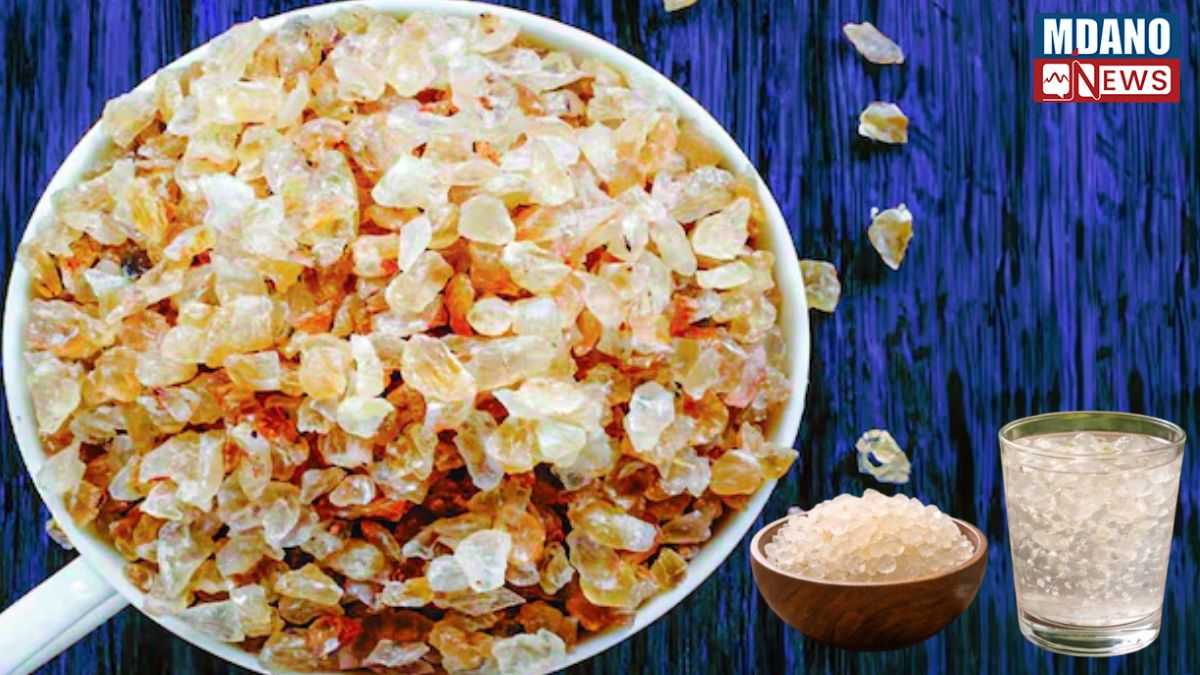Summer Superfood Gond Katira Health News: गोंद कतीरा न केवल चिलचिलाती धूप से राहत देता है, बल्कि पुरुषों की आंतरिक शक्ति को भी पुनर्जीवित करता है।