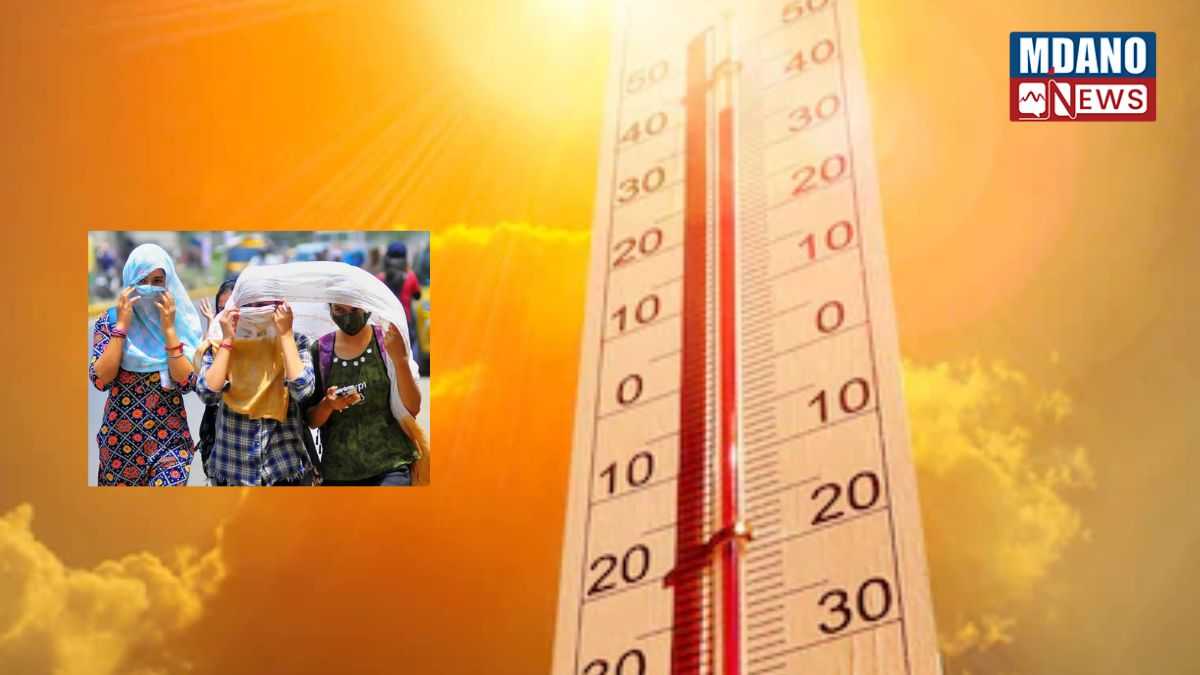 Health Tips news In Hindi: गर्मियों का मौसम आते ही सूरज की तपिश और पसीने से लोग बेहाल होने लगते हैं। ऐसे में सबसे पहला और महत्वपूर्ण बदलाव हमारे वार्डरोब में होना चाहिए।