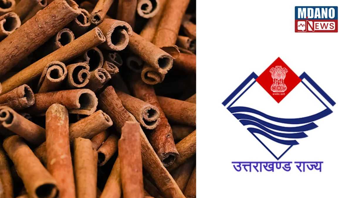 Dehradun international seminar on cinnamon News: देहरादून में दालचीनी पर कल से दो दिवसीय अंतरराष्ट्रीय सेमिनार, जुटेंगे देश-विदेश के विशेषज्ञ